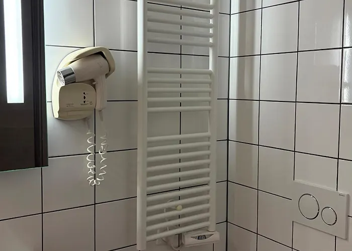 Hotel Au Cerf 3*