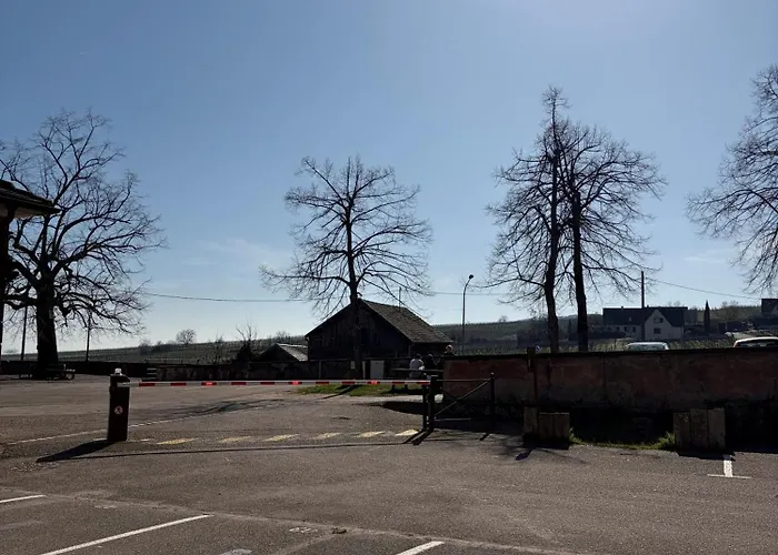 Hotel Au Cerf Riquewihr